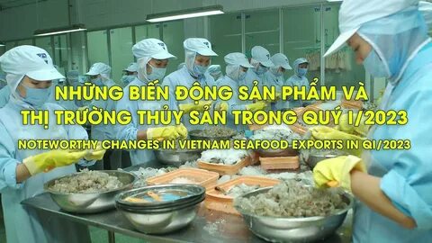 Mỹ Tâm: Họa mi tóc nâu và mối quan hệ với học trò